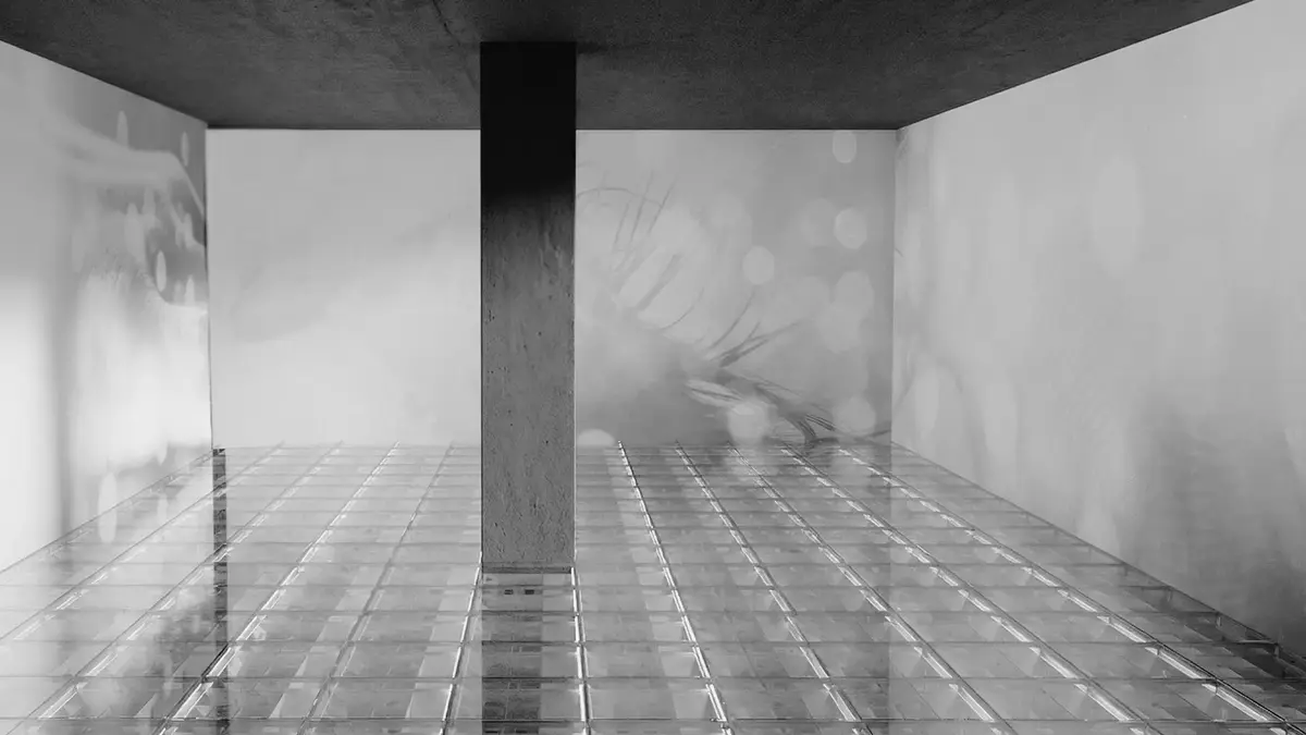 Untitled design (18) 0