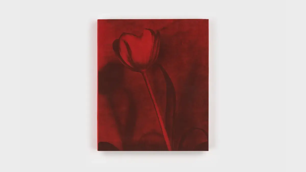 2. Poppy Jones Book, Zolo Press